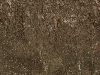 树皮无缝贴图下载-1