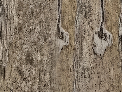 树皮无缝贴图下载-1