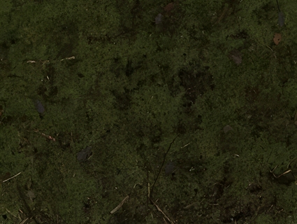 苔藓无缝贴图下载-1