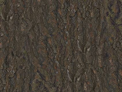 树皮无缝贴图下载-1