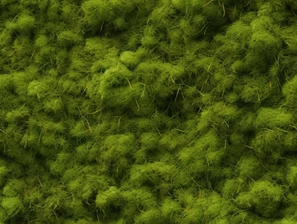 苔藓无缝贴图下载-1
