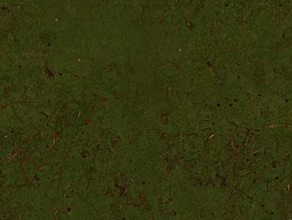 苔藓无缝贴图下载-1