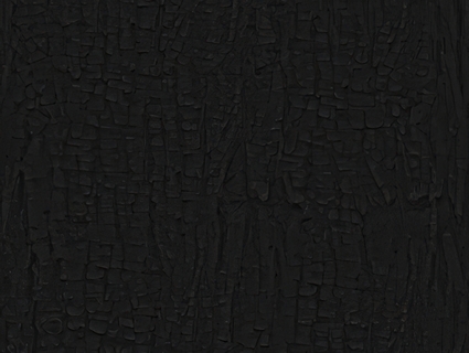 树皮无缝贴图下载-1