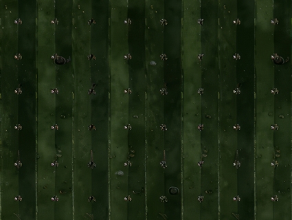 树叶_叶子无缝贴图下载-1