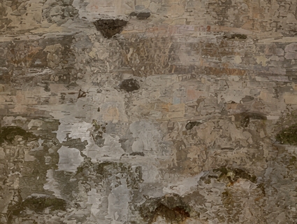 树皮无缝贴图下载-1