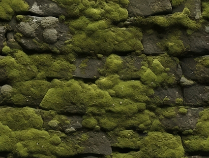 苔藓无缝贴图下载-1