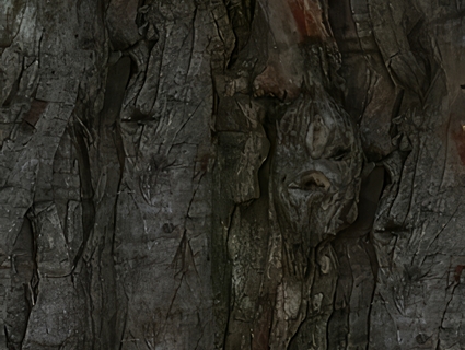 树皮无缝贴图下载-1