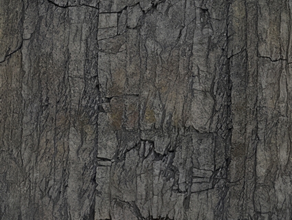 树皮无缝贴图下载-1