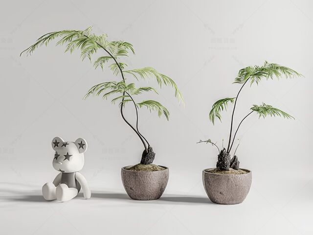  蕨类盆栽植物su模型-1