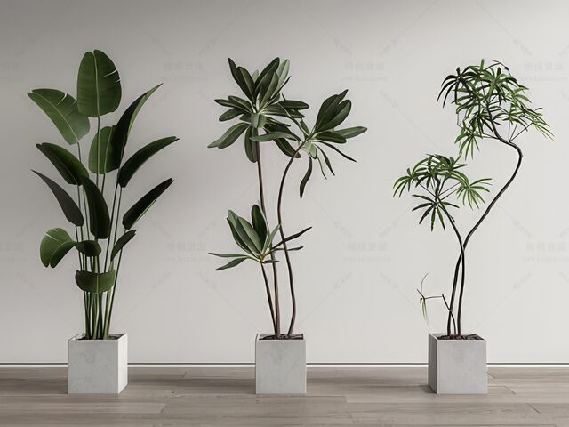 植物盆栽SU模型下载-1