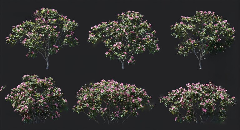 户外景观植物SU模型下载-1