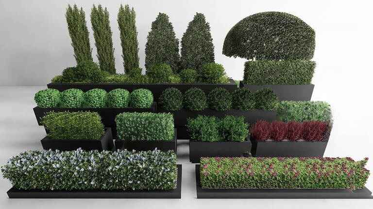 户外景观植物SU模型下载-1