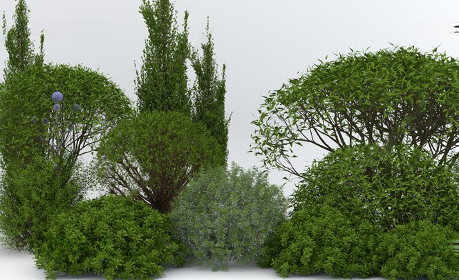 户外景观植物SU模型下载-1