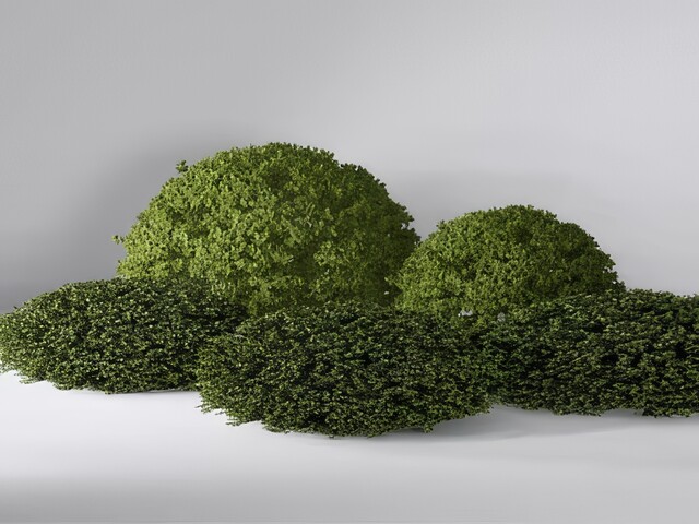 户外景观植物SU模型下载-1