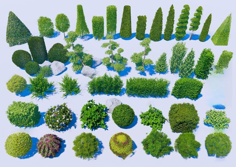 户外景观植物SU模型下载-1