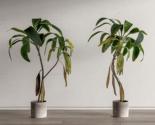 插花艺术摆件SU模型下载-1