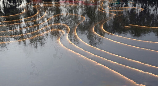 水景SU模型-1