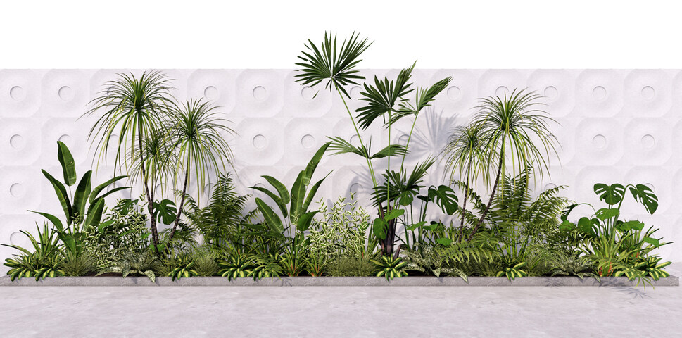 华南亚热带植物su模型-1