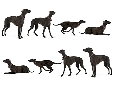 动物_宠物3D模型-1