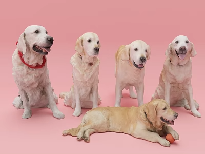 动物_宠物3D模型-1