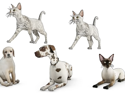 动物_宠物3D模型-1