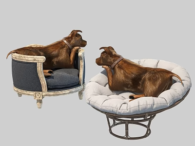 动物_宠物3D模型-1