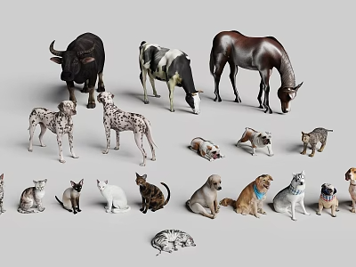 动物_宠物3D模型-1
