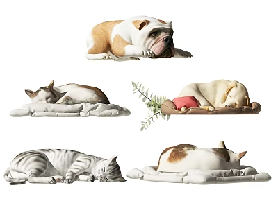 动物_宠物3D模型-1