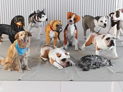 动物_宠物3D模型-1