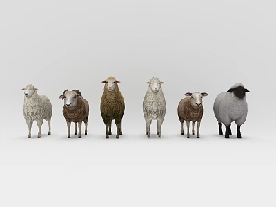 动物_宠物3D模型-1