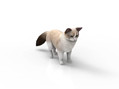 动物_宠物3D模型-1