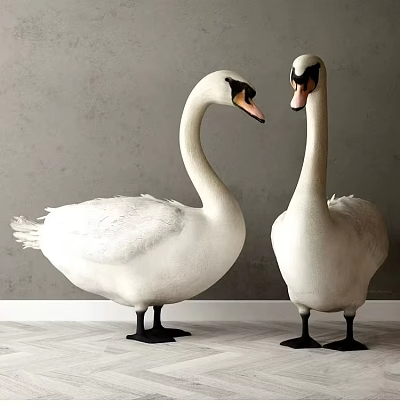 动物_宠物3D模型-1