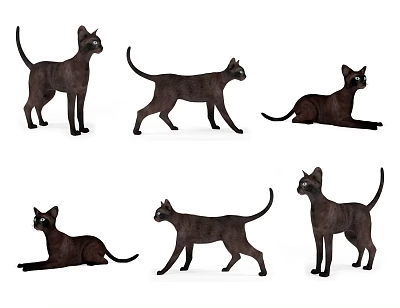 动物_宠物3D模型-1