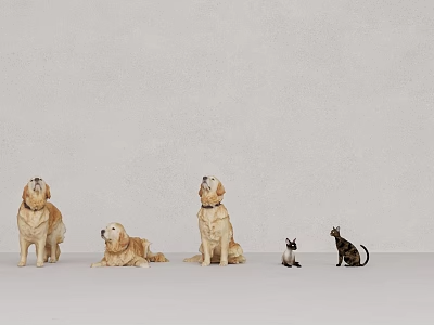 动物_宠物3D模型-1