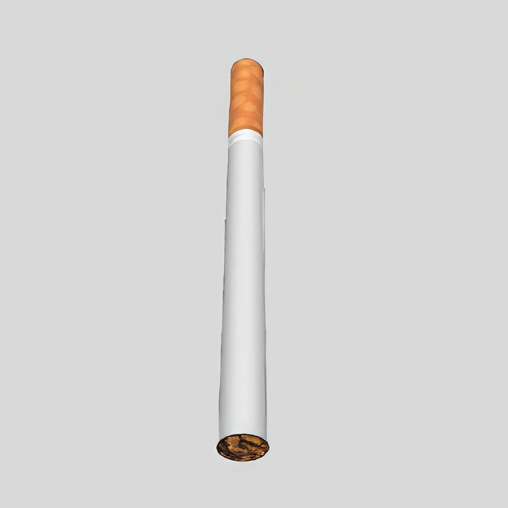 香烟_打火机_烟灰缸SU模型-1