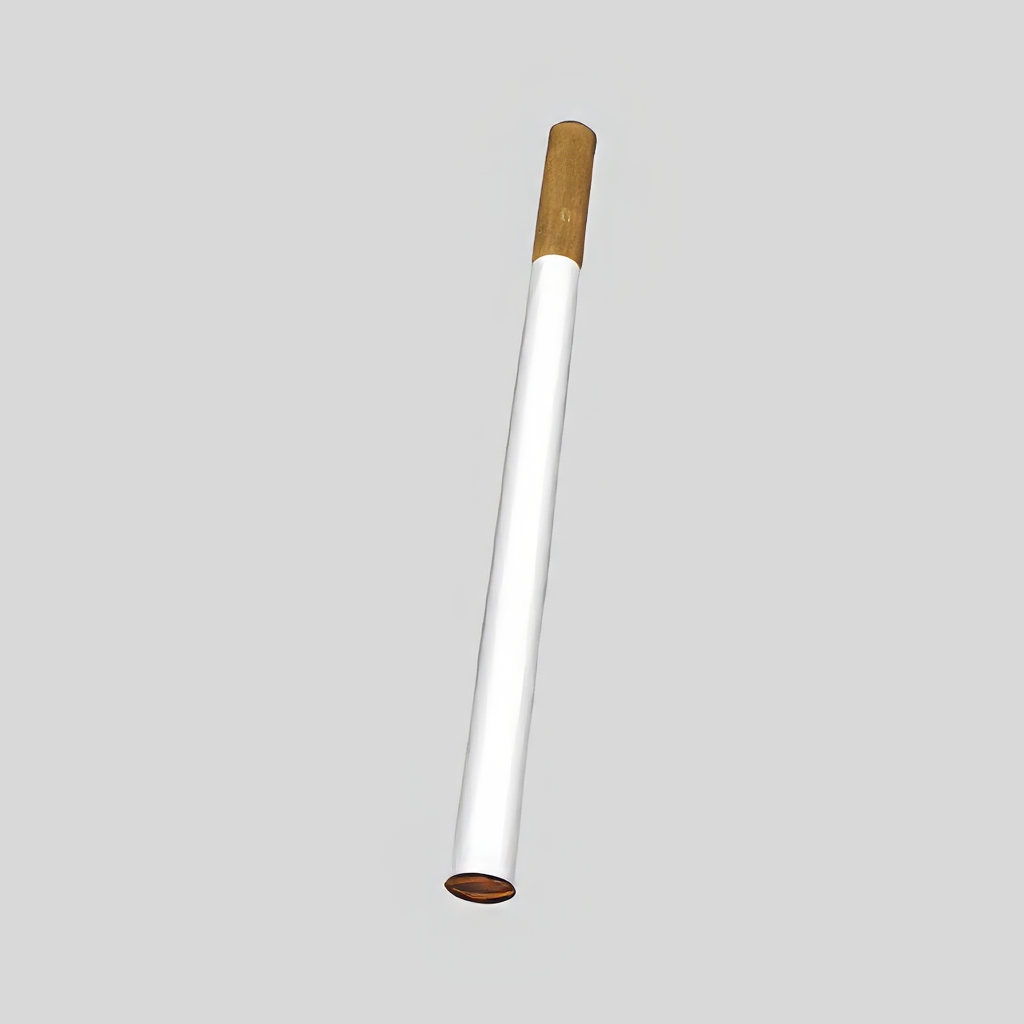 香烟_打火机_烟灰缸SU模型-1