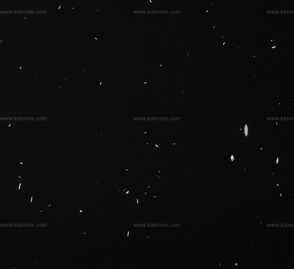 动态下雪D5材质贴图-1