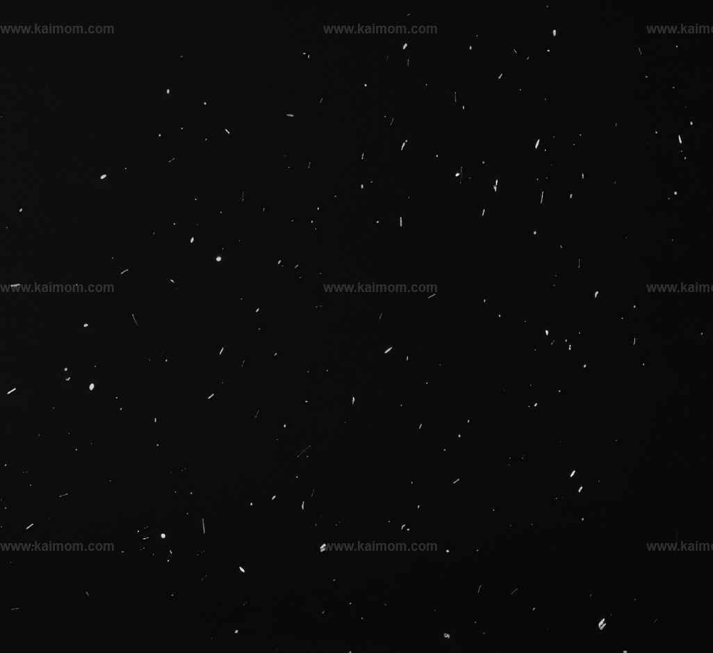 动态下雪D5材质贴图-1